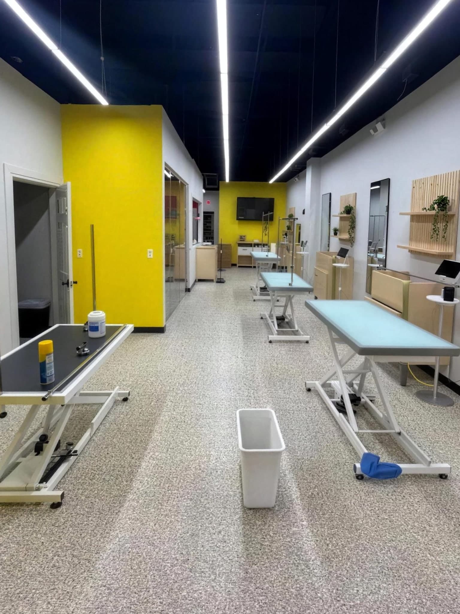 Finished commercial suite with a flake epoxy floor, linear ceiling lights and grooming tables.
